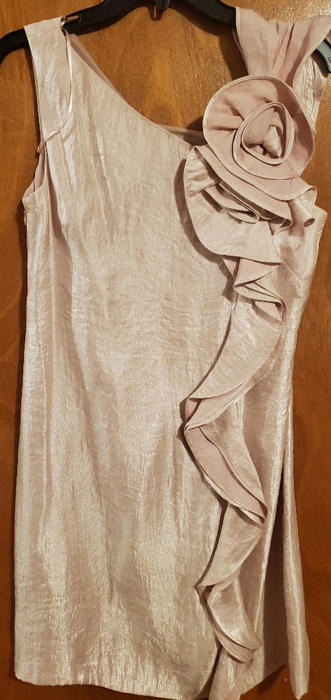 Maggy London Metalic Dress